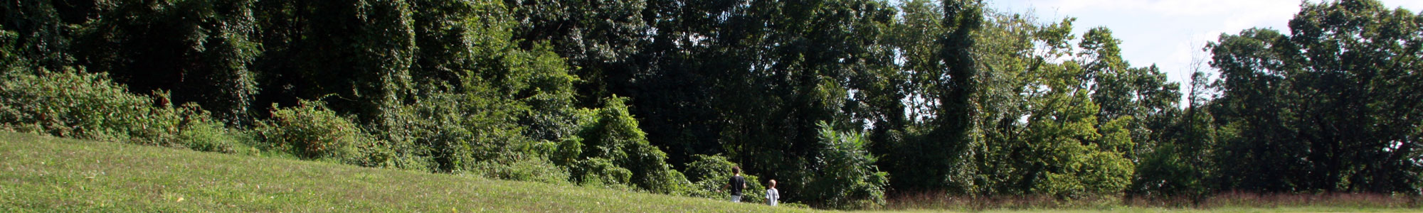 Two tween boys walk through a green field