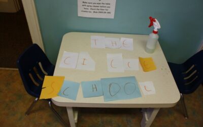 THE CI_CLE SCHOOL